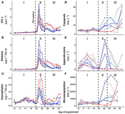 Ocean Acidification-Induced Restructuring of the Plankton Food Web Can Influence the Degradation of Sinking Particles